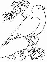 Coloring Printable Birds Pages Kids Print Pdf Open  sketch template