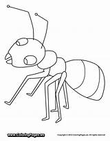 Ant Hormigas Insect Ants Coloringtop Farm sketch template