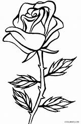 Rose Coloring Pages Flower Drawing Getdrawings Pencil sketch template