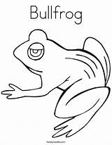 Coloring Bullfrog Tadpole Frog Frogs Pages Hibernate Noodle Drawings Twistynoodle Outline Favorites Login Add Twisty 76kb sketch template