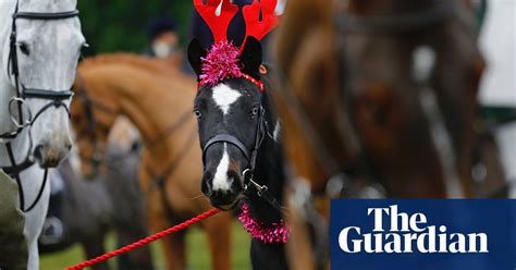 boxing day hunt  pictures uk news  guardian