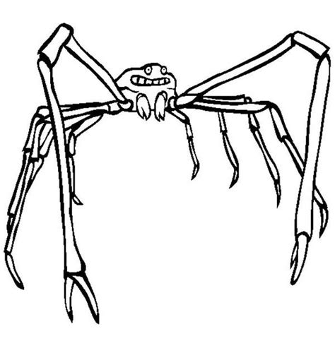 funny spider coloring pages   print coloringfoldercom spider