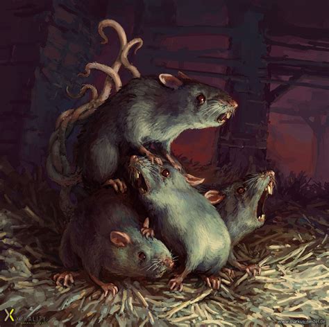 rat king markus neidel rat king rats animal art