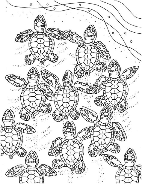 baby sea turtles coloring page embroidery pattern sea