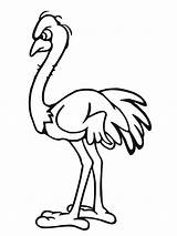 Ostrich Coloring Pages Drawing Printable Template Print African Kids Angry Clipart Animal Colouring Color Templates Library Bestcoloringpagesforkids Popular sketch template