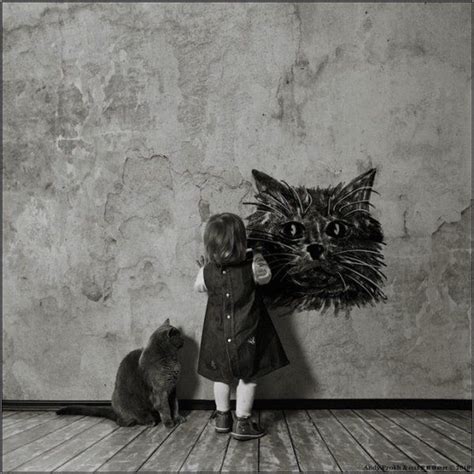 la niña y su gato con imágenes gatos fotografía de gatos arte con gatos