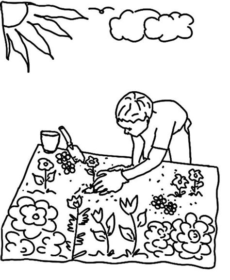 gardening coloring pages  coloring pages  kids flower