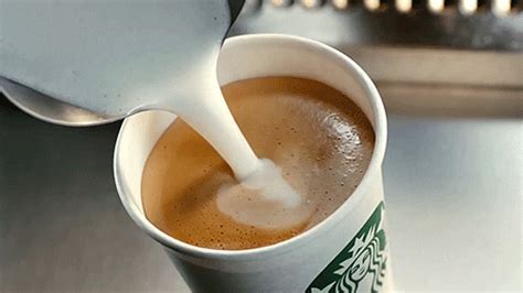 tealc coffe s find and share on giphy