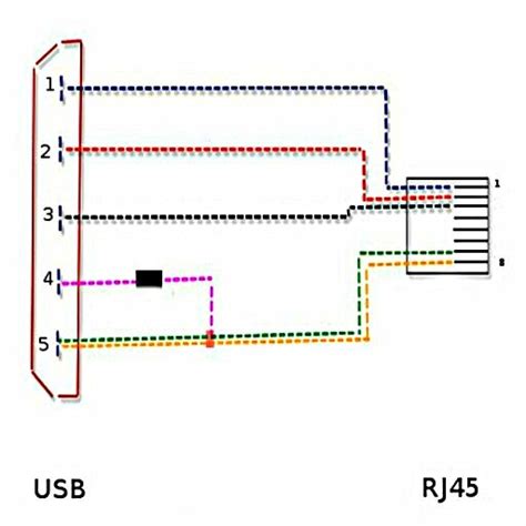 diagram cat   dual rj wiring diagram  picture full version hd quality  picture