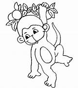 Monkey Template Templates Hanging Animal Shape sketch template