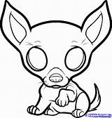 Chihuahua Coloring Pages Drawing Puppies Dog Puppy Draw Printable Color Chihuahuas Kids Step Cute Colouring Cartoon Imagixs Animals Bing Drawings sketch template