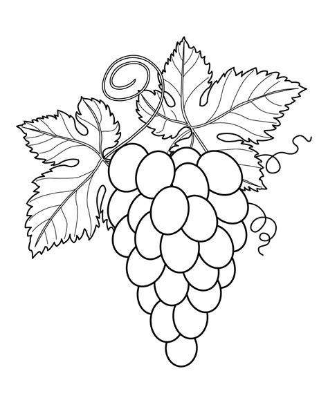 fruits coloring pages printable