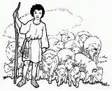 Bible Shepherds Berger Sheets Moutons sketch template