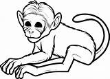 Coloring Cute Pages Monkey Monkeys Kids Getcoloringpages Printable Hanging sketch template