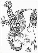 Coloring Pages Animal Animals Bird Adults Printable Complex Abstract Detailed Adult Valentin Birds Mandala Kids Print Cat Popular Nature Comments sketch template