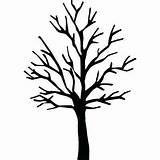 Leafless Outline Baum Silhouetten Clipground Clipartmag sketch template