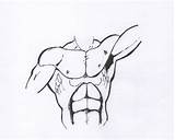 Male Torso Drawing Draw Step Drawings Paintingvalley sketch template
