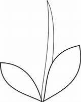 Leaf Stem Flower Clipart Tulip Leaves Template Clip Stems Sunflower Cliparts Outline Jungle Library Clipground 20white 20black 20and 20clipart Clker sketch template