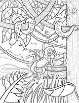 Rainforest Coloring Pages Amazon Color Kids sketch template