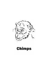 Geographic Chimps sketch template