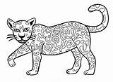 Jaguar Clipartmag sketch template