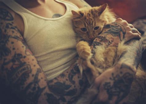 cute cat tattoo image 542832 on