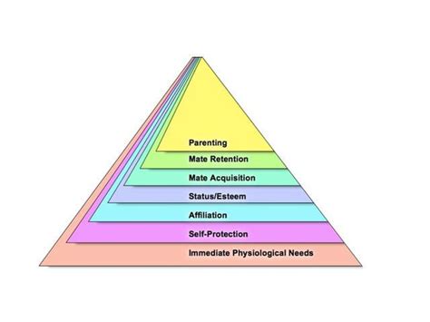 Rebuilding Maslow’s Pyramid On An Evolutionary Foundation Psychology