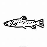 Trout Fish Freshwater Fishes sketch template