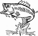 Bass Fish Clipart Cliparts Fishing Library Coloring Pages sketch template