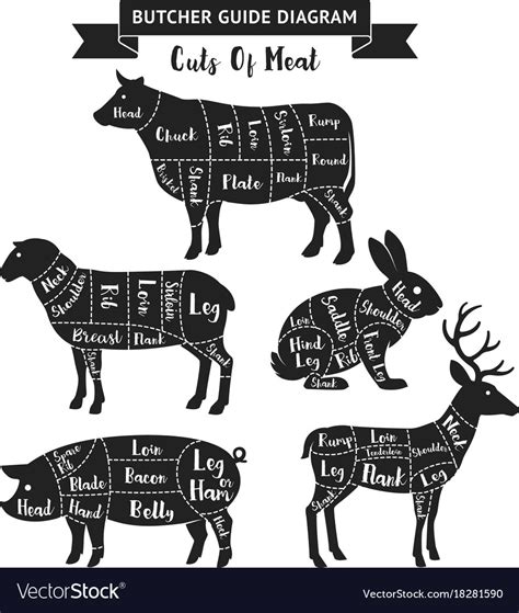 butcher guide cuts of meat diagram royalty free vector image