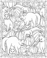 Dover Freebie Chats Publications Craftgossip Pumpkins Coloriages Doverpublications Zeichnungen Kinder Matin Lumineux Gazo sketch template