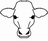 Outline Face Clipart Cow Head Cattle Calf Clip Cliparts Drawing Easy Library Cows Drive Silhouette Clipartmag sketch template