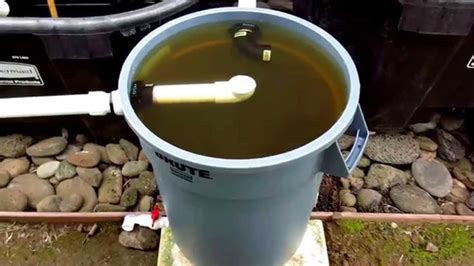 swirl filter  aquaponics chop system maui hawaii