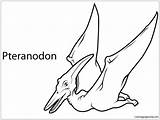 Pteranodon Pterodactyl Paintingvalley sketch template