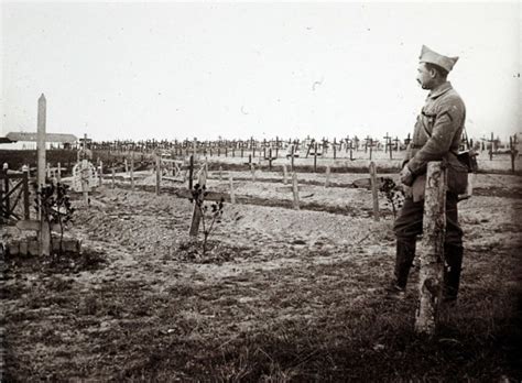 photographs  world war  frontline telegraph