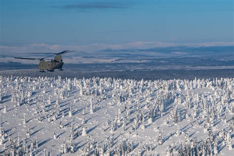 army investigates paratroopers death  alaska base militarycom