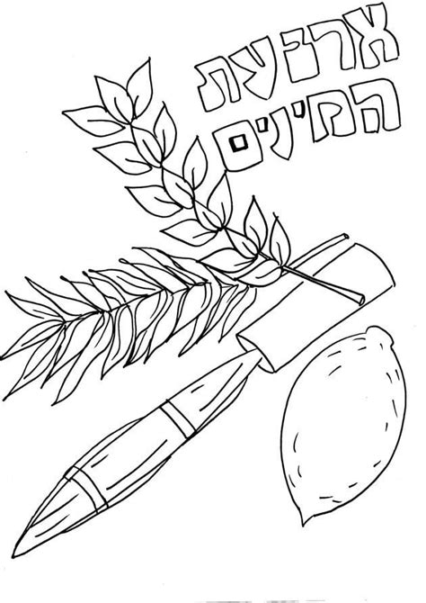sukkot  coloring page  printable coloring pages  kids