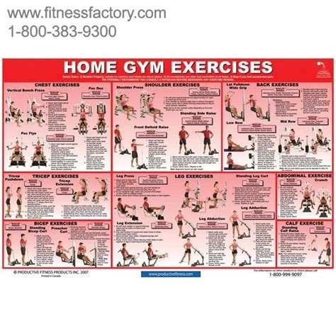 home gym exercises chart pfchgl home gym exercises gym workout