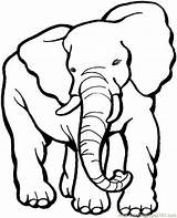 Coloring Elephant Pages Printable Kids Print sketch template