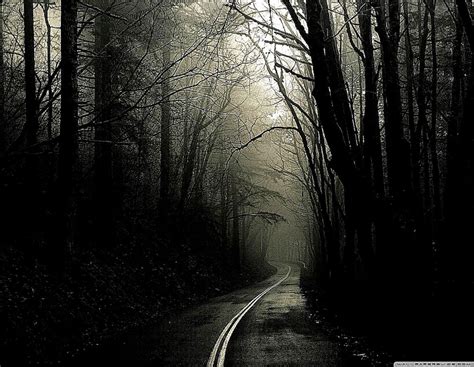dark road forest hd desktop wallpaper high definition