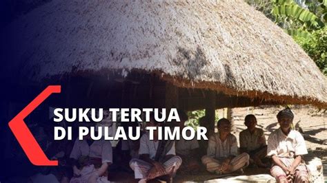 suku boti  pulau timor  tolak peradaban luar demi jaga kelestarian budaya  tradisi