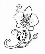 Orchid Ladybug Flower Coloring Pages Tattoo Cute Orchids Lineart Uncolored Crawling Printable Deviantart Hibiscus Bug Lady Outline Getcolorings Color Tattooimages sketch template