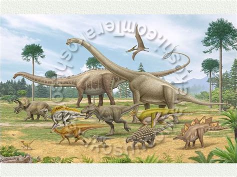 Brachiosaurus Vs Diplodocus High School Math Worksheet Generator