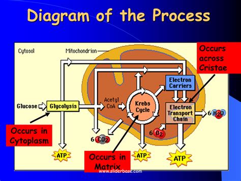 diagram   process