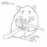 Rat Coloring Pages Pet Color Printable Index Getcolorings Getdrawings Own Kids sketch template