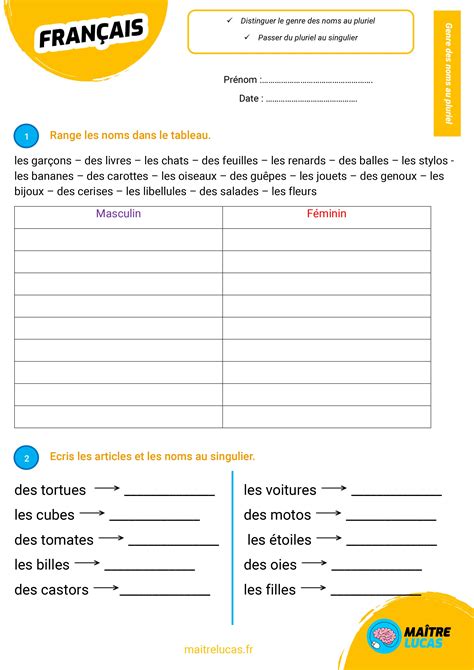 exercices le genre des noms au pluriel pour cp ce maitre lucas