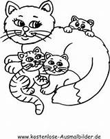 Katzen Malvorlagen Katze Malvorlage Katzenfamilie Tiere Drucken Kätzchen Ausmalbildervorlagen Katten Bastelarbeiten sketch template