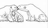 Coloring Family Animal Bear Polar Comments Library Clipart Coloringhome sketch template