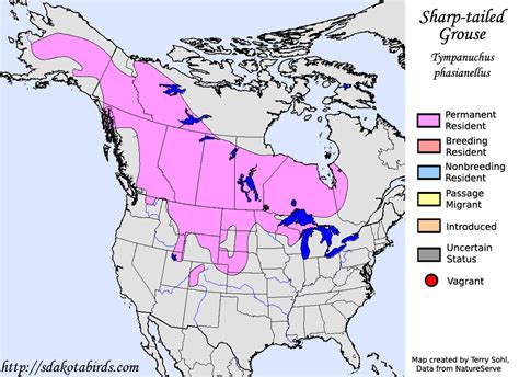 sharp tailed grouse species range map