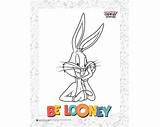 Tunes Looney Pages Warnerbros sketch template